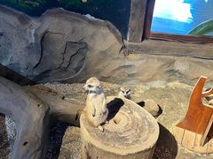 -绿色星球动物主题公园