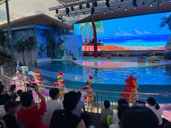 -三亚海昌梦幻海洋不夜城