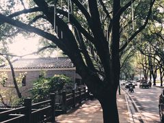 -潜山国家森林公园