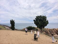 -小麦岛公园