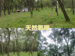 -森林公园(尖草坪区)
