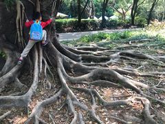 -人民公园(罗湖区)