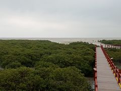 -北海金海湾红树林生态旅游区