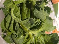 非洲冰草-一叶一世界•素食餐厅(环球中心店)