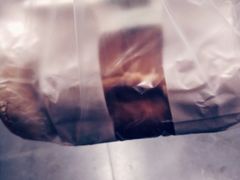 蟹粉小笼-王家沙点心店(西康路店)