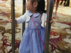 -上海波特曼丽思卡尔顿酒店