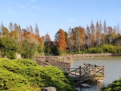 -上海海湾国家森林公园