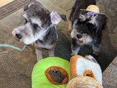 -蜀大侠火锅(春熙路店)