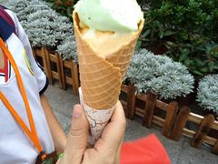 甜筒雪糕双球-成裕雪糕店(士多店)