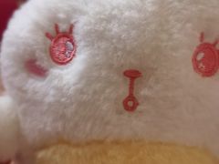 -南戴河海滨市场