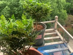 -手工小吃(高银美食街店)