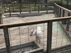 -前小桔亲子创意农场·草莓采摘·露营烧烤