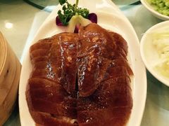 -九花山烤鸭店