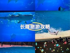 -横琴湾畔餐厅(长隆海洋王国白鲸剧场店)