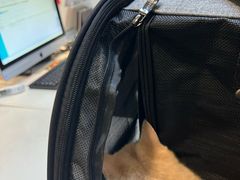 -御宝贝·A梦猫科宠物医院(国际猫友好医院)