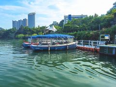 -千岛湖城中湖游船码头