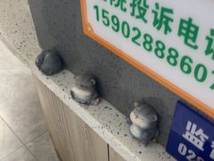 -半岛宠物医院24小时(白果林店)