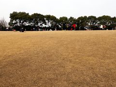 -黄兴公园