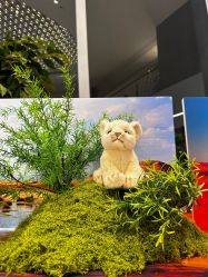 -IMON·HANSA潮玩玩偶毛绒玩具(通州万象汇店)