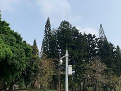 -荔枝公园(福田区)