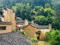 -杨家堂村