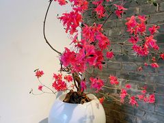 -曲廊院(东四十一条店)