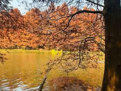 -上海海湾国家森林公园