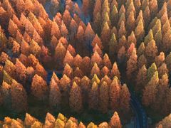 -黄海国家森林公园