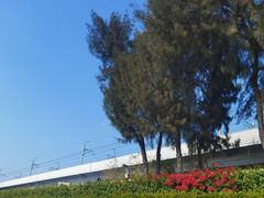 -宝安西湾红树林湿地公园