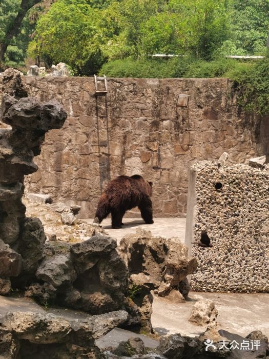 上海動物園圖片