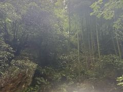 -将军关探险漂流