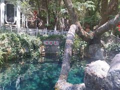 -蝴蝶泉公园