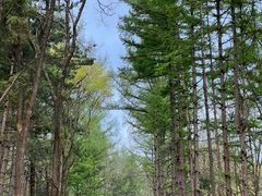 -洛阳白云山景区