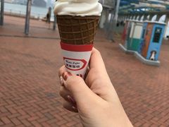 -富豪雪糕车流动点(尖沙咀店)