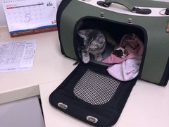 -宠颐生中康贝怡动物医院