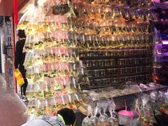 -香港宠物街