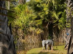 -中国科学院西双版纳热带植物园