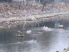 -北京张裕爱斐堡酒庄