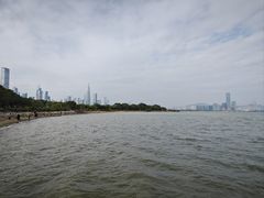 -深圳湾公园(南山区)