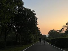 -宜兴龙背山森林公园