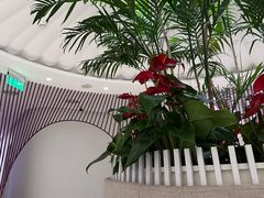 -LANN I 蘭 SPA(陆家嘴中心店)