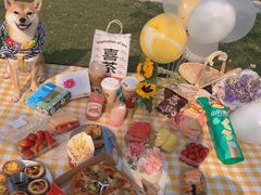 -栖露营camping·天幕烧烤·团建拓展·采摘营地