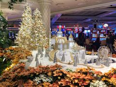 -拉斯维加斯永利酒店