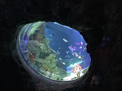 -沈阳海洋探索中心