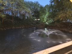 -芭厘农庄老字号·清远鸡