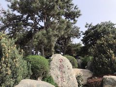 -中国唐苑