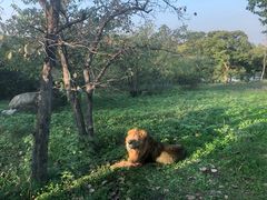 -西安秦岭野生动物园