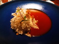 火凤凰绣球菇-觀芷隐轩