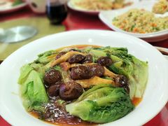 双菇扒菜胆-天鲜阁·海鲜粤菜·33年老字号(石槎白云站店)