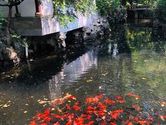 -复旦大学附属华山医院(总院)